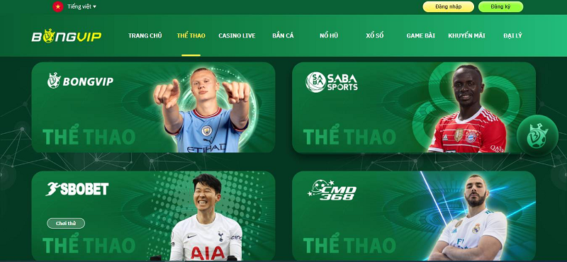 Khám phá top game danh bai mien phi hot nhất hiện nay và cách chơi game danh bai mien phi dễ thắng
